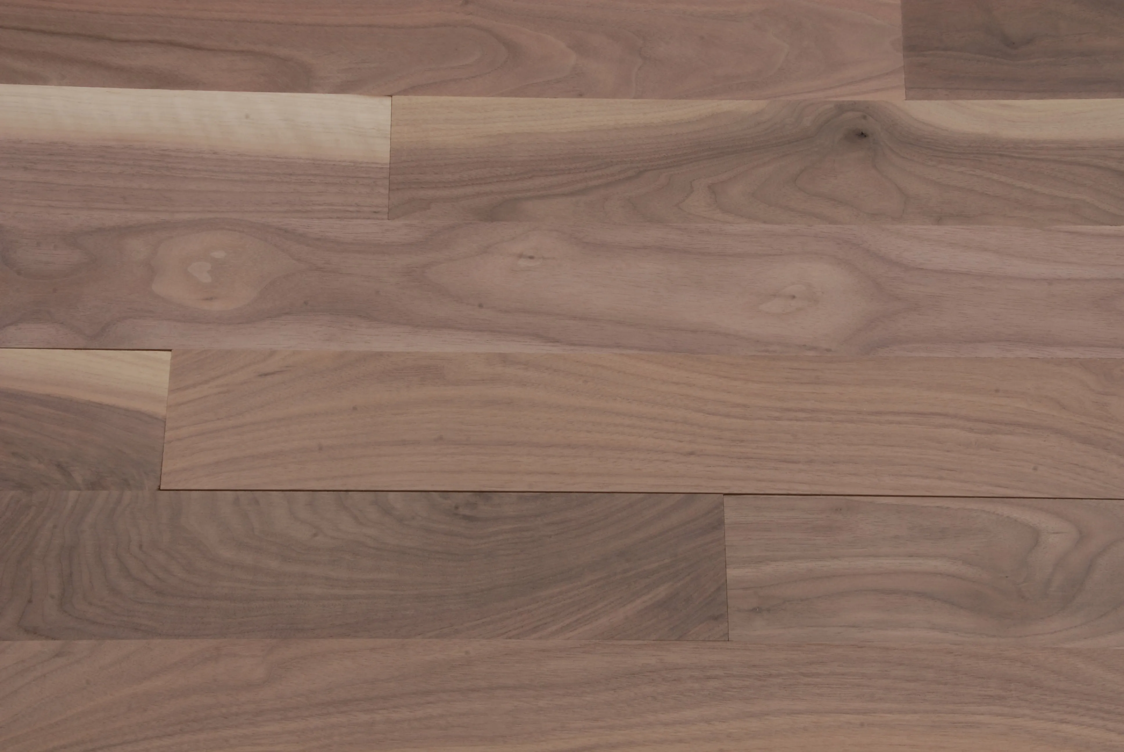 Am. Walnut