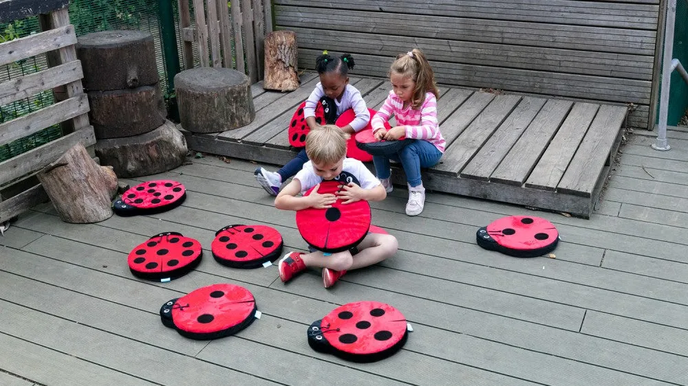 Back to Nature Ladybirds Story Cushions pk 13
