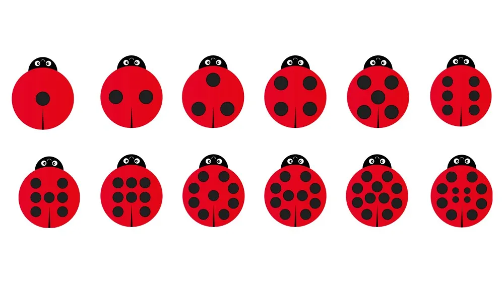 Back to Nature Ladybirds Story Cushions pk 13