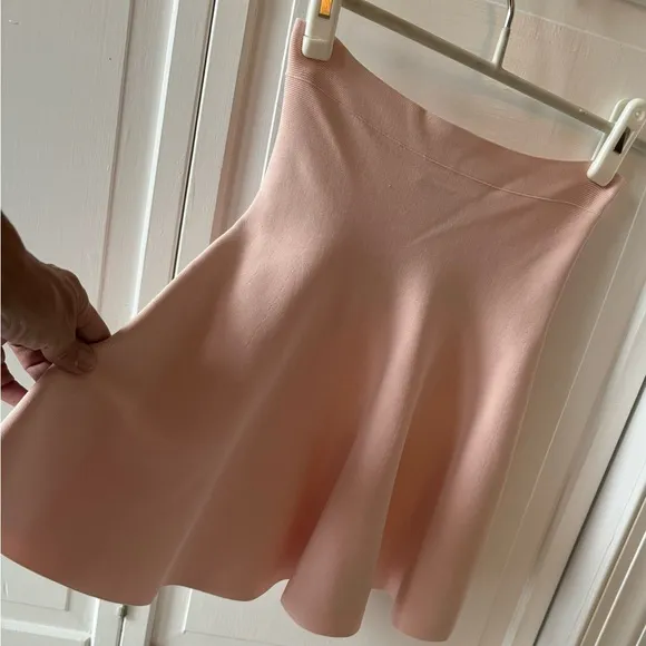 BCBGMaxAzria Ingrid ALine Skirt Dusty Pink