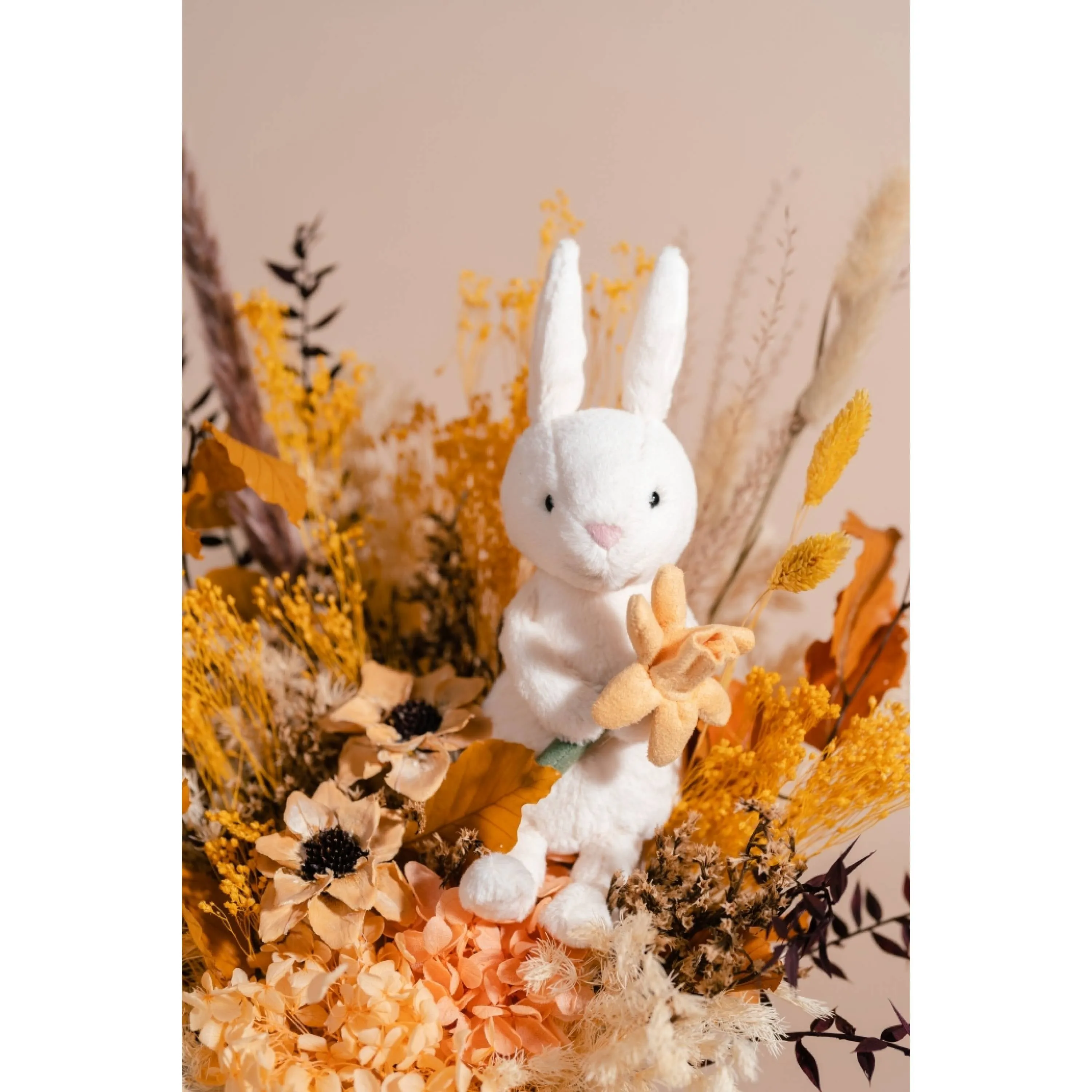 Bobbi Bunny with Daffodil