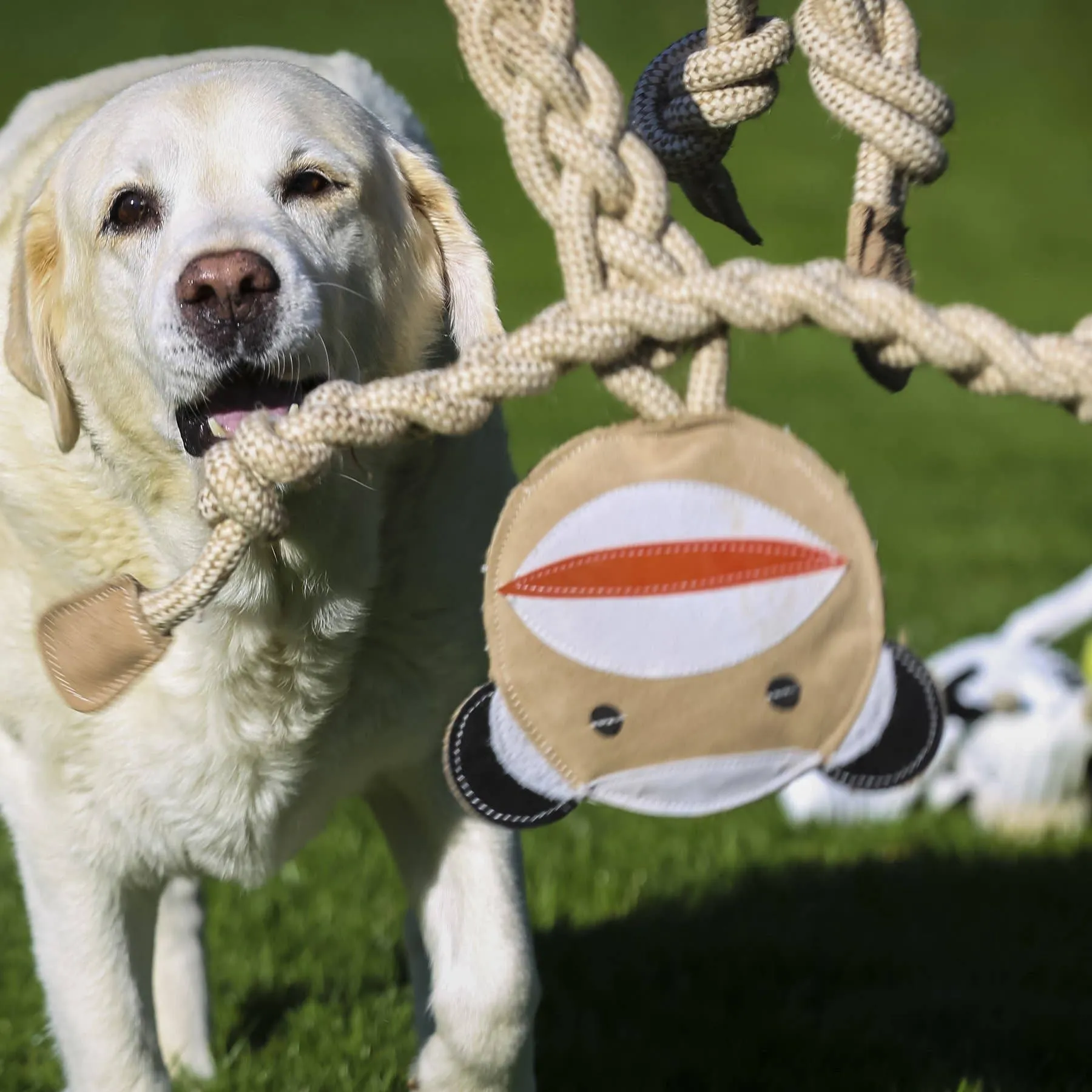 Bunny Natural Rope Knottie®, Large (9mm d.) Dog Toy