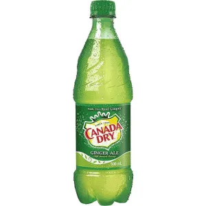 Canada Dry Ginger Ale 500ml