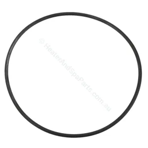 Edgetec Triflo Pump Body O-Ring - Decina