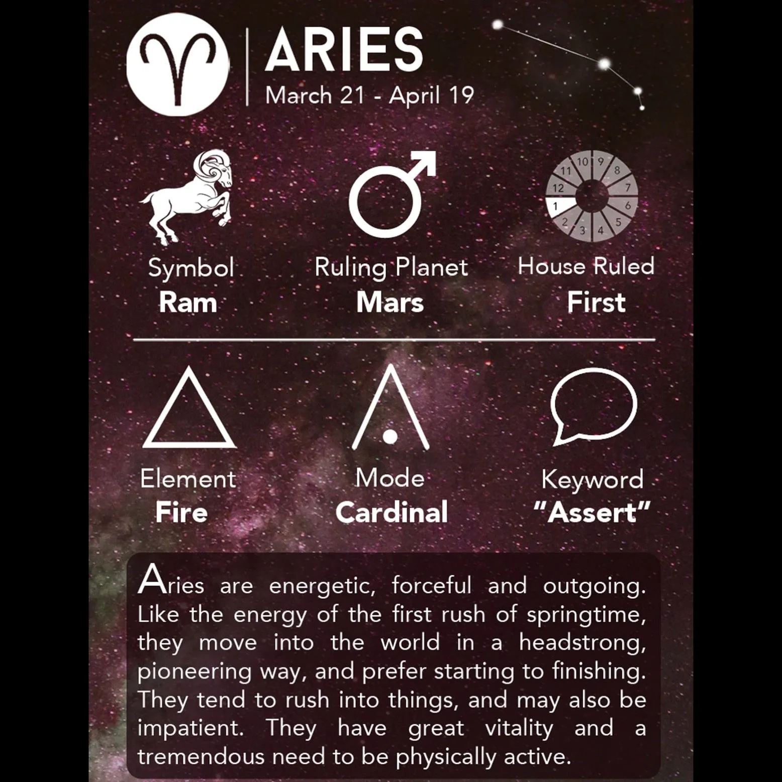 Fallon Aurielle Unisex Signature Aries Zodiac Jogging Set (Black & Silver)