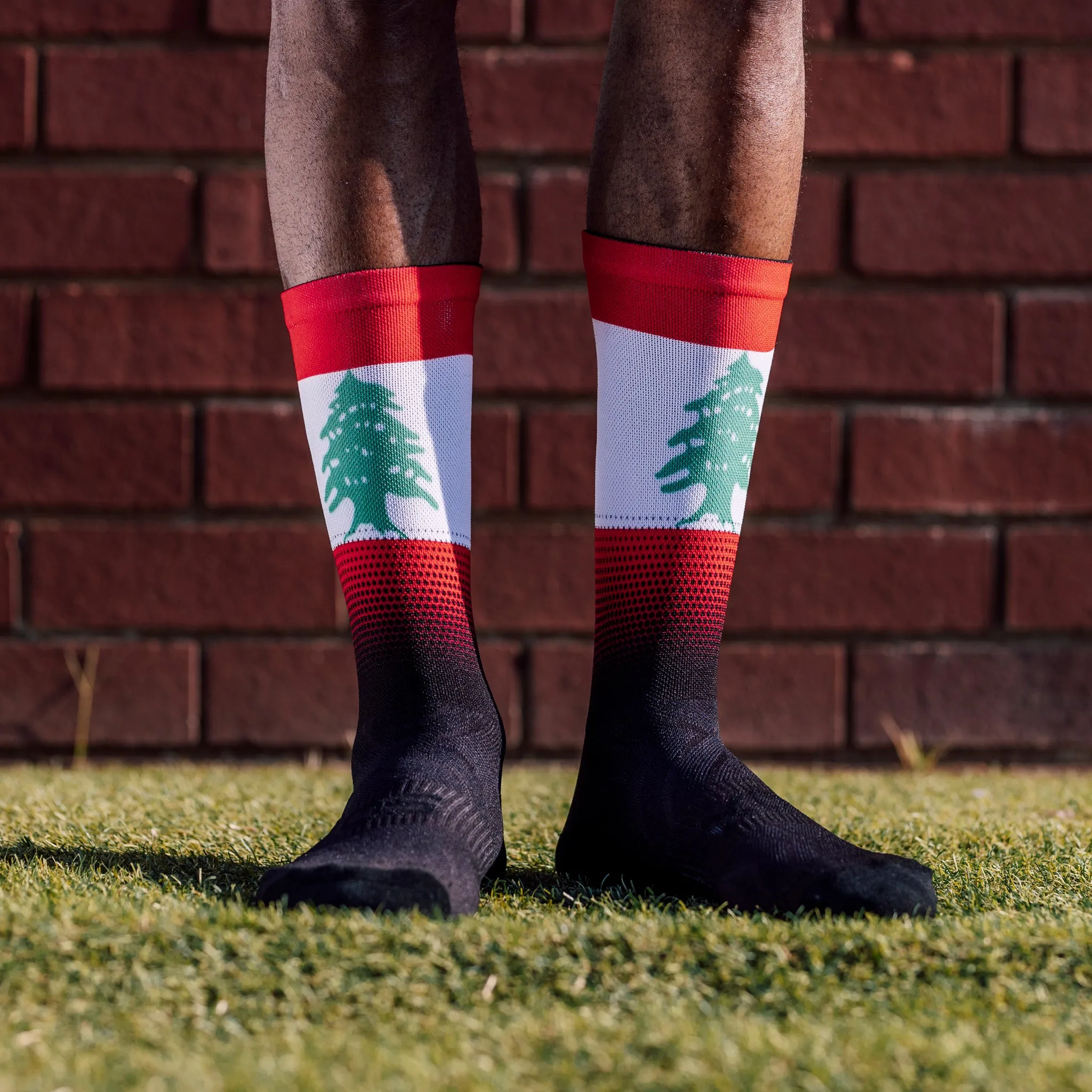 Lebanon Flag Socks