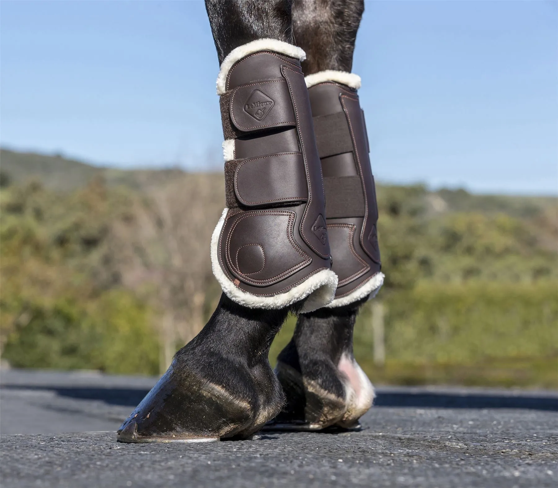 LeMieux Capella Comfort Tendon Boots