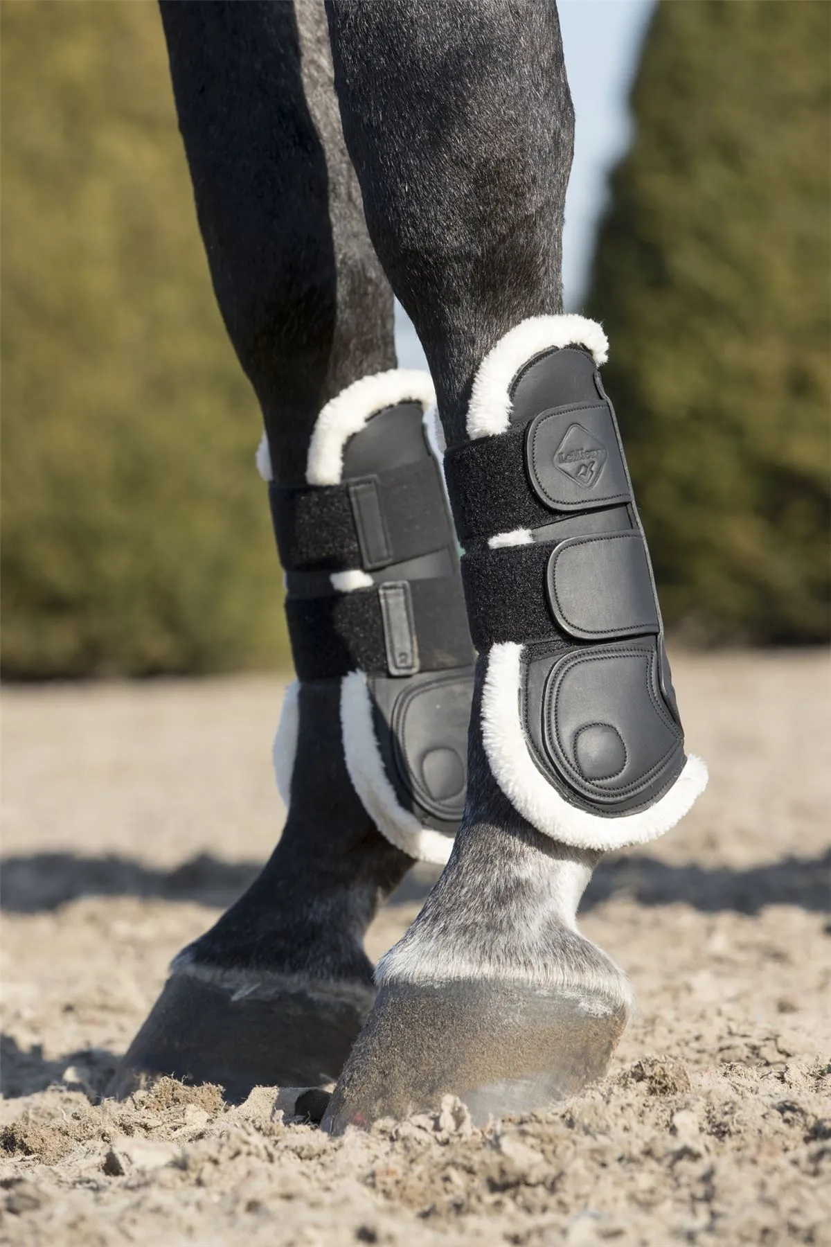 LeMieux Capella Comfort Tendon Boots