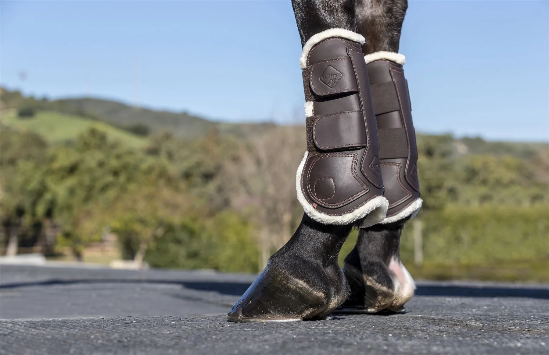 LeMieux Capella Comfort Tendon Boots