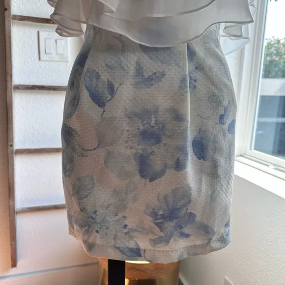 Luxe Rose Layered Blouse Mini Dress Sz: Med NWOT