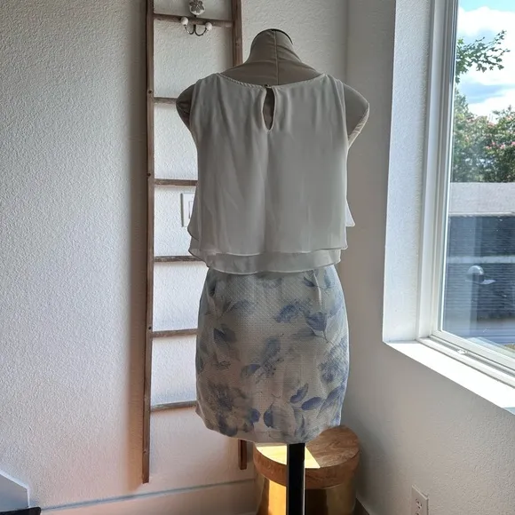 Luxe Rose Layered Blouse Mini Dress Sz: Med NWOT