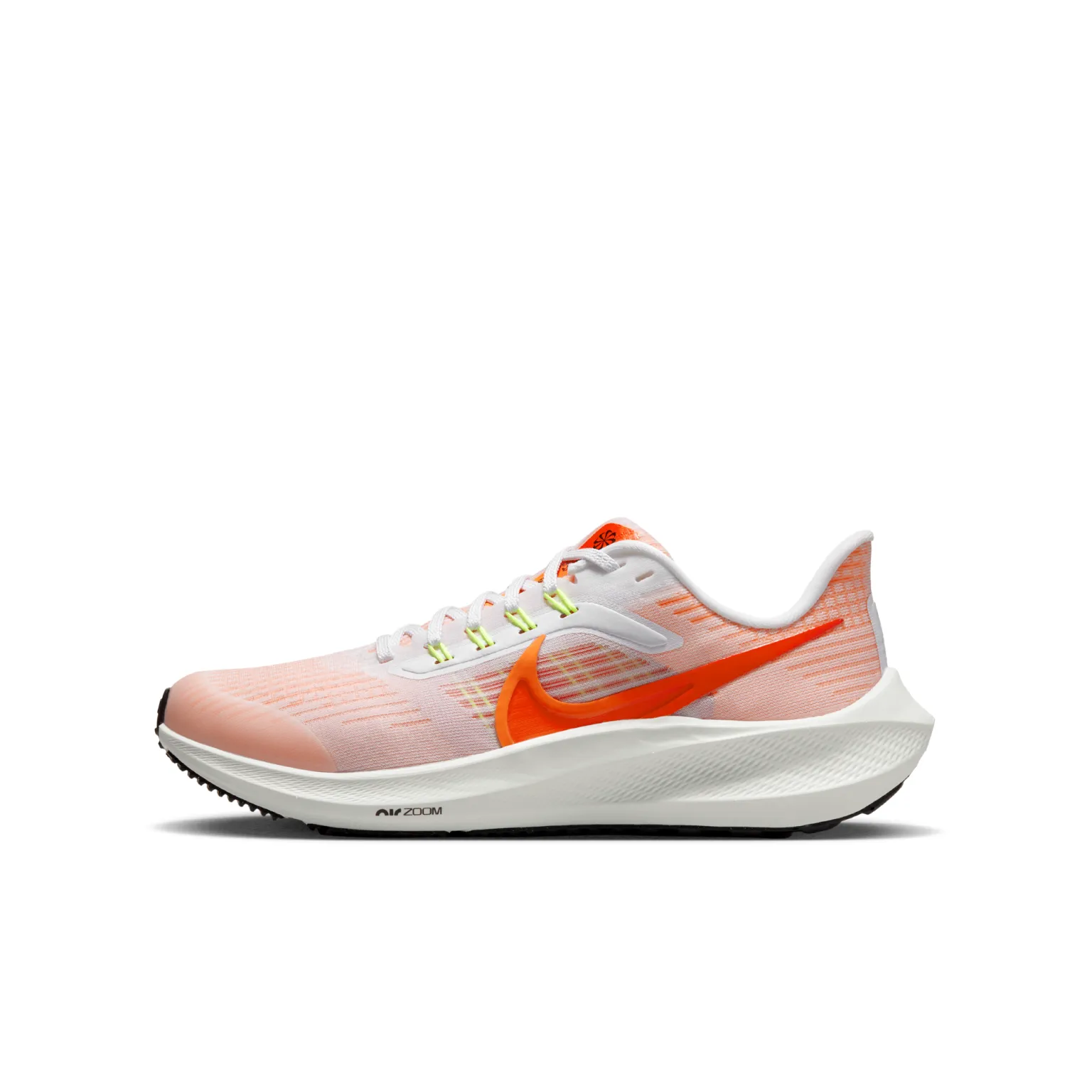 Nike Kids Pegasus 39 Running