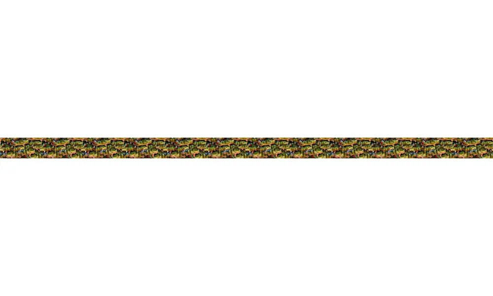 Peacock Bass Dog Leash