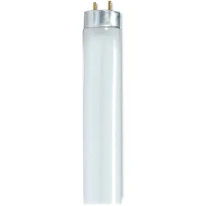 Satco 25-watt 48" T8 Fluorescent Bulb