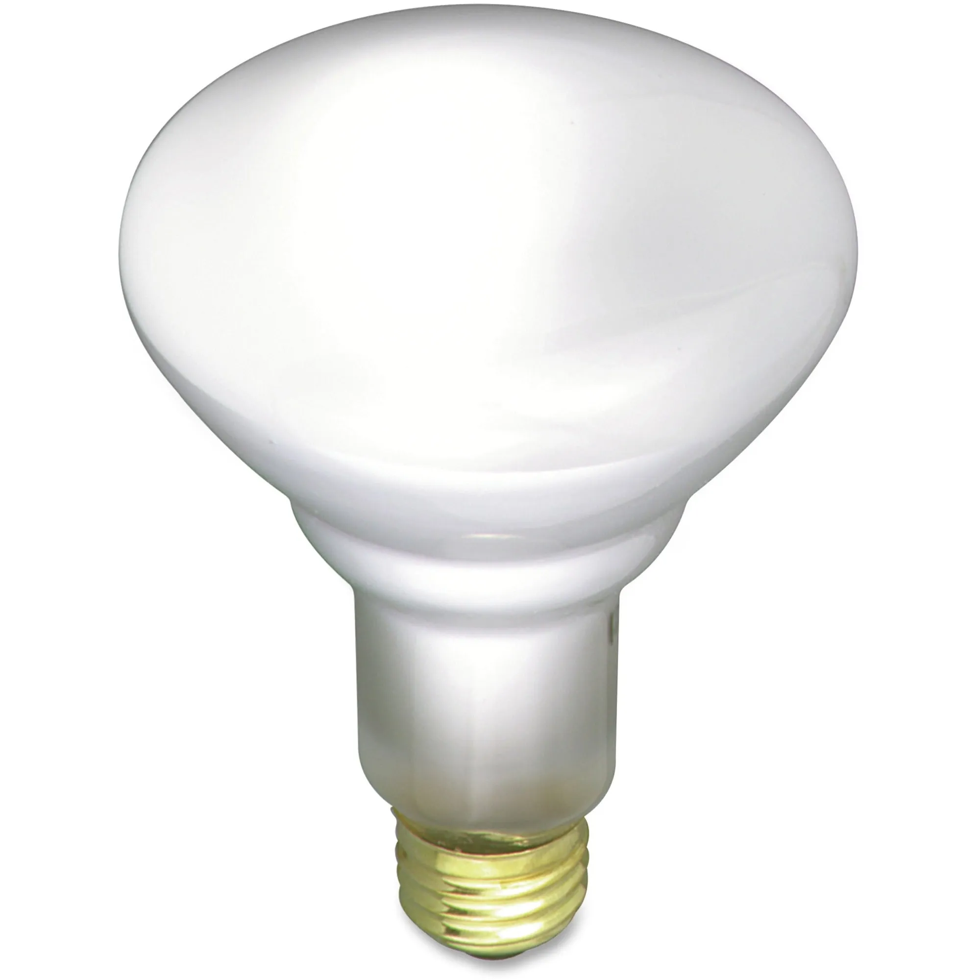Satco 65-watt BR30 Incandescent Floodlight