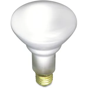 Satco 65-watt BR30 Incandescent Floodlight