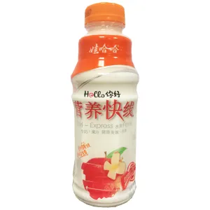 Wahaha Nutri Express Original 500ml ~ 娃哈哈營養快线原味 500ml
