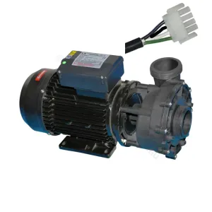 WP200-II Pro Series 2.0HP - LX Whirlpool - Two-speed Jet Booster Pump